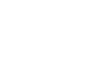 Swig